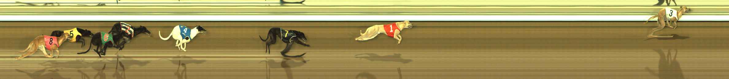 Race result finish photo